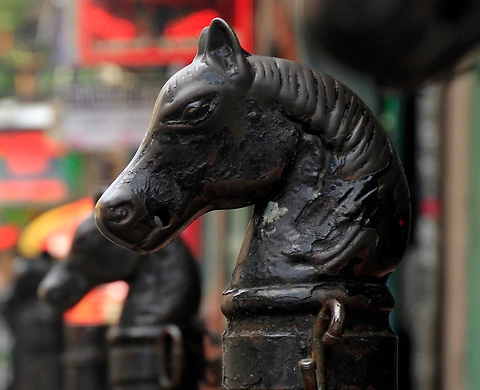 Horse